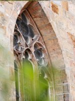 VRK Dienstunfähikeitsabsicherung – Foto eines Kirchenfensters mit grünen Blättern im Vordergrund.