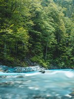 VRK Nachhaltigkeit – Ein Flusslauf in einem Wald.