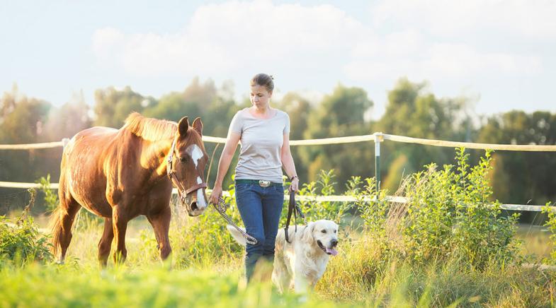 Eine junge Frau geht mit ihrem Hund und Pferd spazieren.
